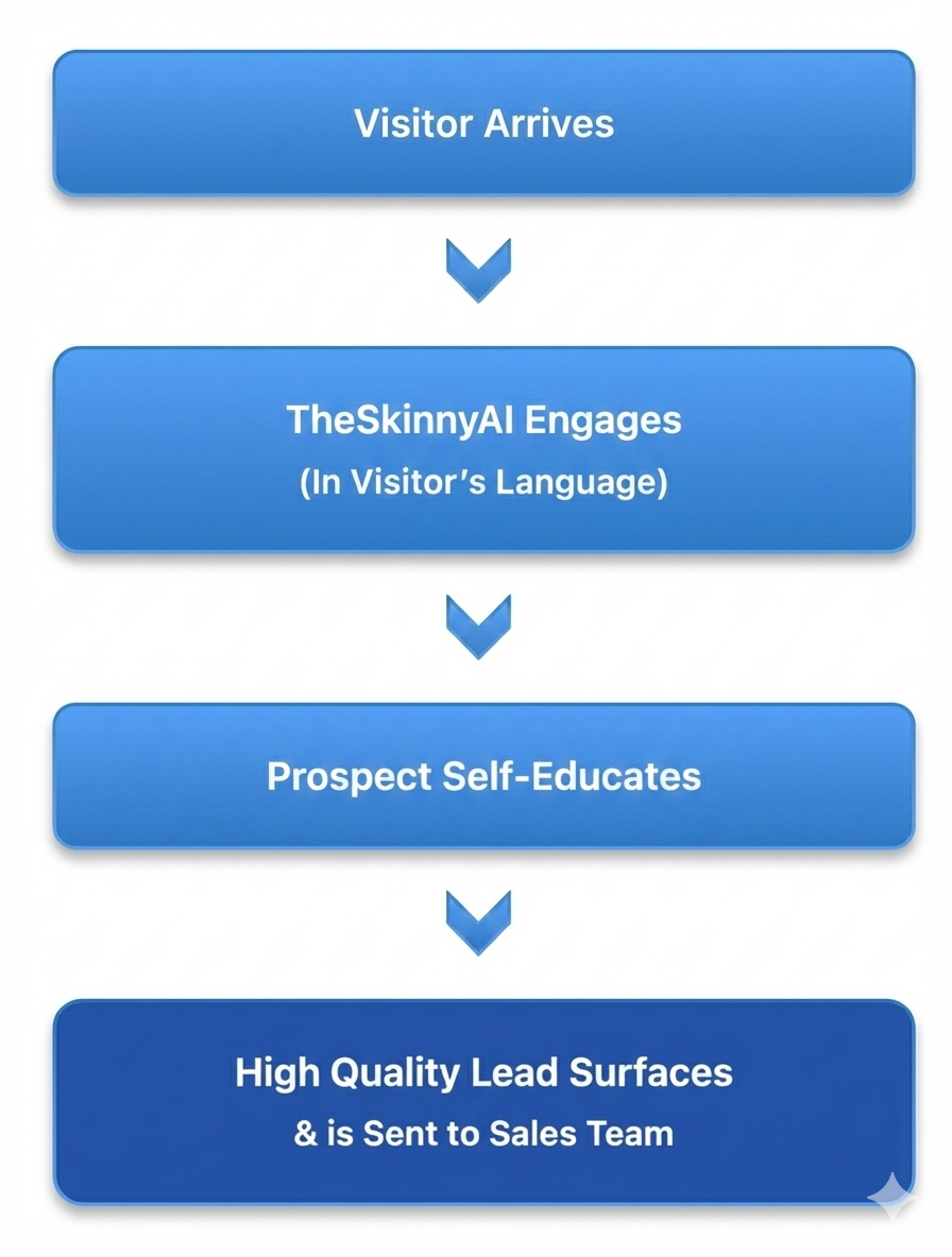 How TheSkinnyAI works diagram